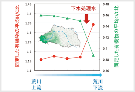 荒川における河川流下に伴う有機物組成の変化