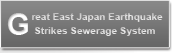 Great East Japan Earthquake Strikes Sewerage System